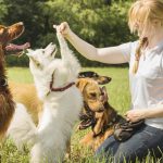 Dog Positive Behavior