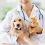 Factors That Affect the Cost of Pet Insurance