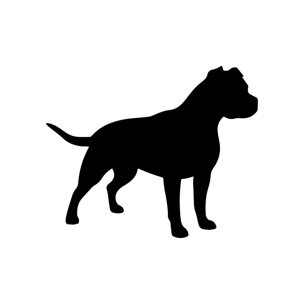 Pit Bull life Pit Bull life expectancy