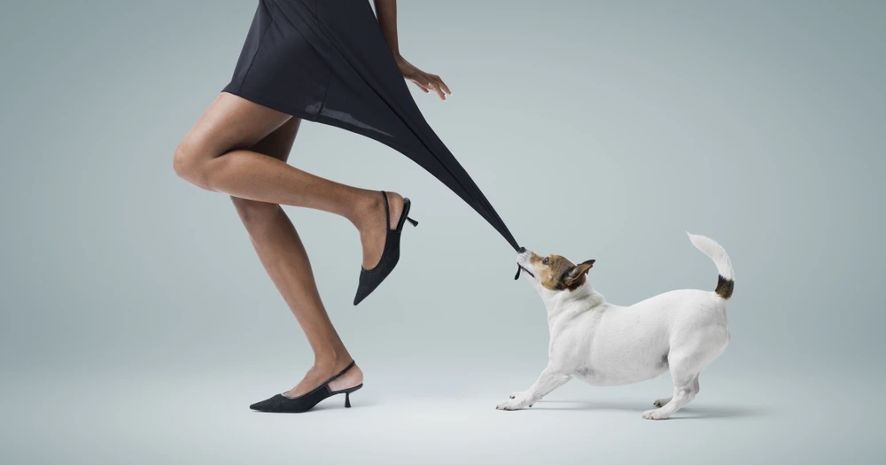 Most Dangerous Dogs To Humans Most Dangerous Dogs To Humans
