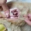 What Are Ear Mites In Dogs And How Can You Treat Them?